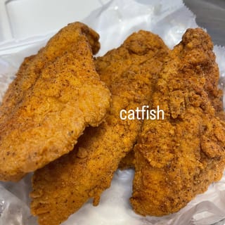 Catfish Platter Sm